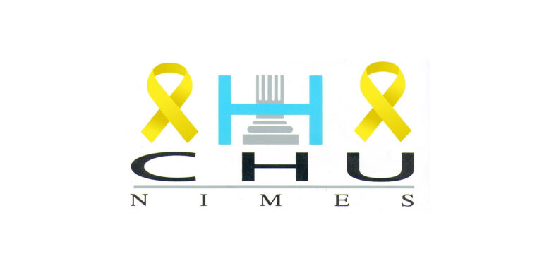 vincent letouzey 1 768x397